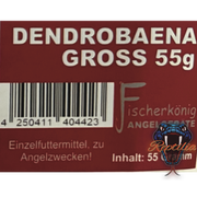 Dendrobaena (Rotwürmer)
