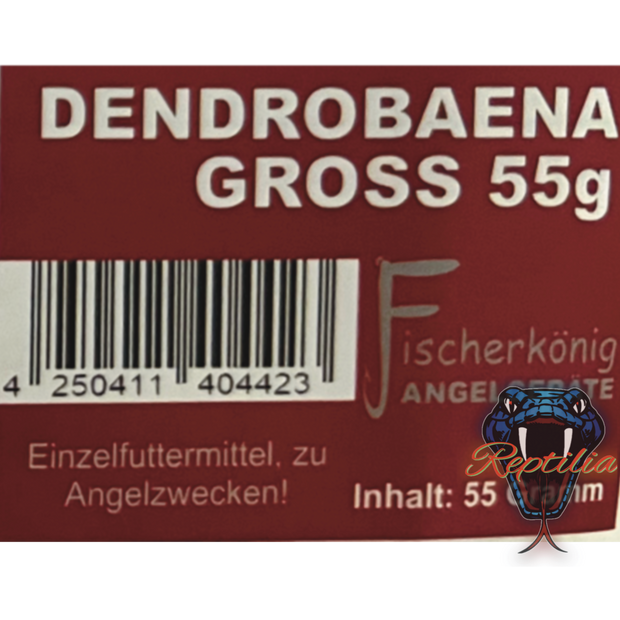 Dendrobaena (Rotwürmer)