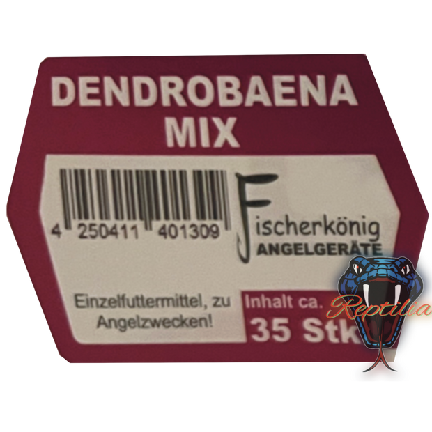 Dendrobaena (Rotwürmer)