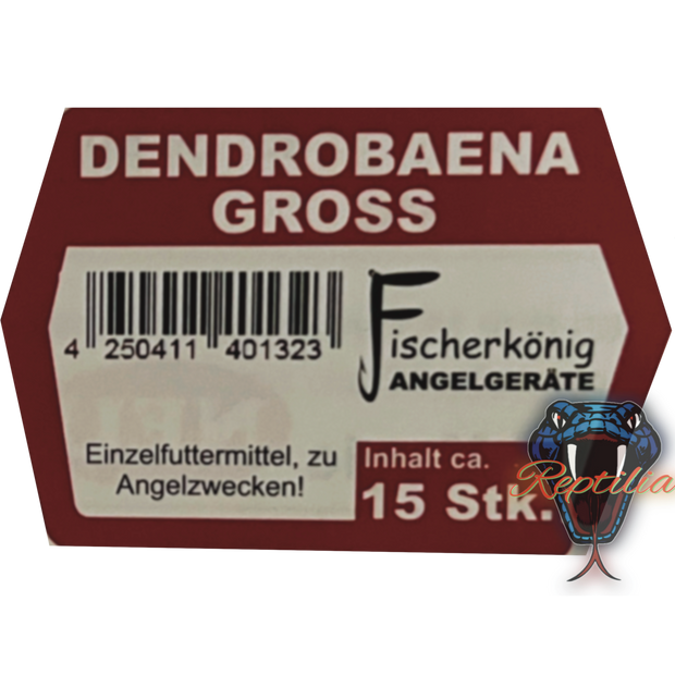 Dendrobaena (Rotwürmer)